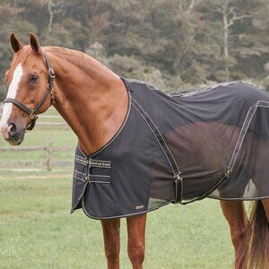 NWT Back on Track Sienna Mesh Sheet - Size 81